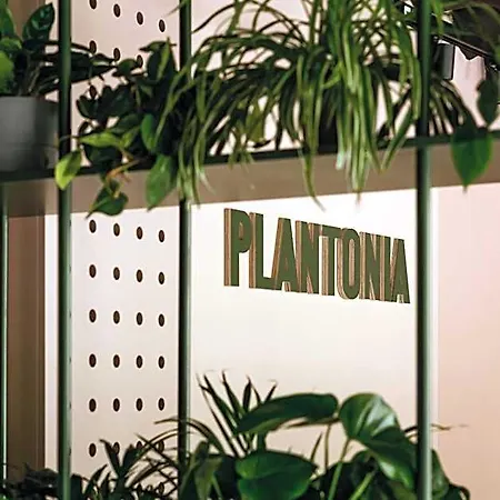 Plantonia شقة فندقية كراكوفيا